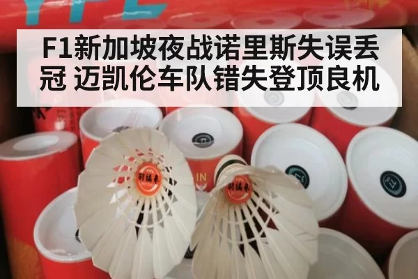 F1新加坡夜战诺里斯失误丢冠 迈凯伦车队错失登顶良机